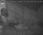 Capi_Dubne_20250521_012502.jpg