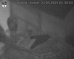 Capi_Dubne_20250521_013003.jpg