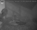 Capi_Dubne_20250521_015003.jpg