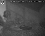 Capi_Dubne_20250521_021503.jpg