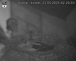 Capi_Dubne_20250521_022003.jpg