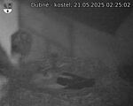 Capi_Dubne_20250521_022502.jpg