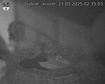 Capi_Dubne_20250521_023503.jpg