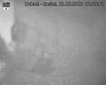 Capi_Dubne_20250521_025502.jpg