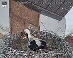Capi_Dubne_20250521_081502.jpg