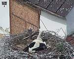 Capi_Dubne_20250521_113502.jpg