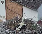 Capi_Dubne_20250521_114004.jpg