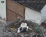 Capi_Dubne_20250521_121502.jpg