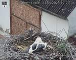 Capi_Dubne_20250521_122004.jpg