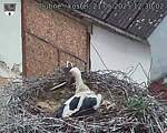 Capi_Dubne_20250521_123002.jpg