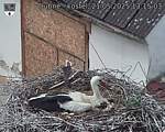 Capi_Dubne_20250521_131503.jpg