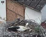 Capi_Dubne_20250521_132003.jpg