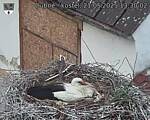 Capi_Dubne_20250521_133002.jpg