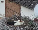 Capi_Dubne_20250521_133504.jpg