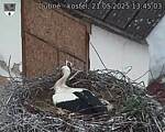 Capi_Dubne_20250521_134503.jpg