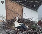 Capi_Dubne_20250521_140002.jpg
