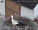 Capi_Dubne_20250521_145003.jpg