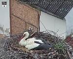 Capi_Dubne_20250521_152504.jpg
