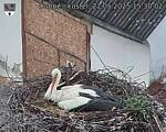 Capi_Dubne_20250521_153002.jpg