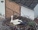 Capi_Dubne_20250521_153504.jpg