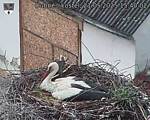 Capi_Dubne_20250521_154002.jpg