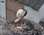 Capi_Dubne_20250521_155502.jpg