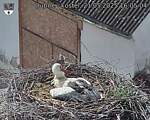 Capi_Dubne_20250521_160504.jpg