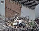 Capi_Dubne_20250521_161004.jpg