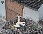 Capi_Dubne_20250521_161502.jpg