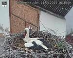 Capi_Dubne_20250521_163504.jpg