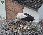 Capi_Dubne_20250521_165002.jpg