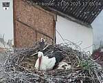 Capi_Dubne_20250521_170504.jpg