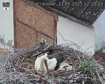 Capi_Dubne_20250521_171002.jpg