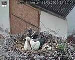 Capi_Dubne_20250521_172004.jpg