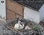 Capi_Dubne_20250521_175004.jpg