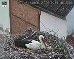 Capi_Dubne_20250521_181503.jpg