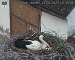 Capi_Dubne_20250521_183004.jpg