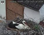 Capi_Dubne_20250521_183504.jpg