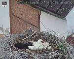 Capi_Dubne_20250521_184002.jpg