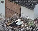 Capi_Dubne_20250521_190504.jpg