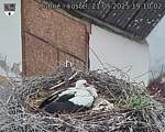 Capi_Dubne_20250521_191002.jpg