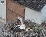 Capi_Dubne_20250521_191504.jpg