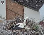 Capi_Dubne_20250521_192004.jpg