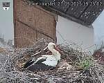 Capi_Dubne_20250521_192502.jpg
