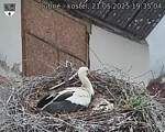 Capi_Dubne_20250521_193504.jpg