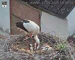 Capi_Dubne_20250521_194002.jpg