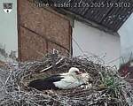 Capi_Dubne_20250521_195002.jpg