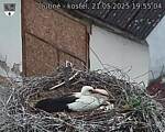 Capi_Dubne_20250521_195504.jpg
