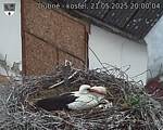 Capi_Dubne_20250521_200004.jpg