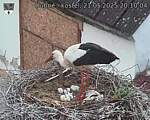 Capi_Dubne_20250521_201004.jpg